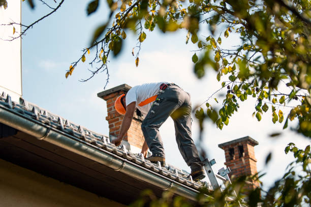 Best Roof Repair Services  in Kayak Point, WA