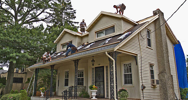 Best Shingle Roofing Installation  in Kayak Point, WA